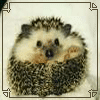 IVA